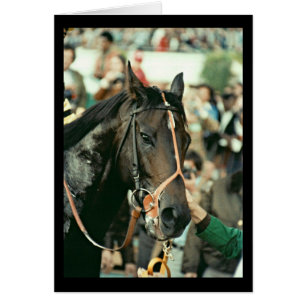 Seattle-DurchlaufThoroughbred 1978