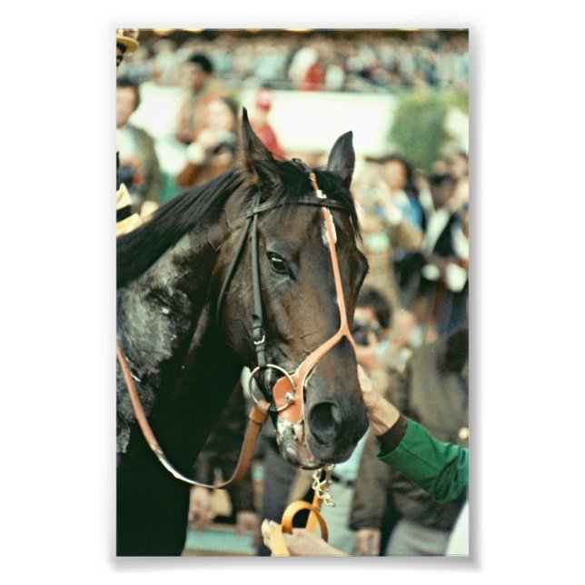 Seattle Slew Thoroughbred 1978 Fotodruck (Vorne)