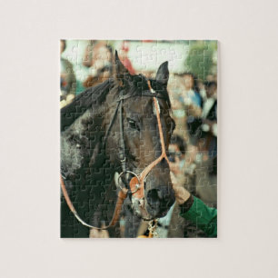 Seattle Slew Vollblut 1978