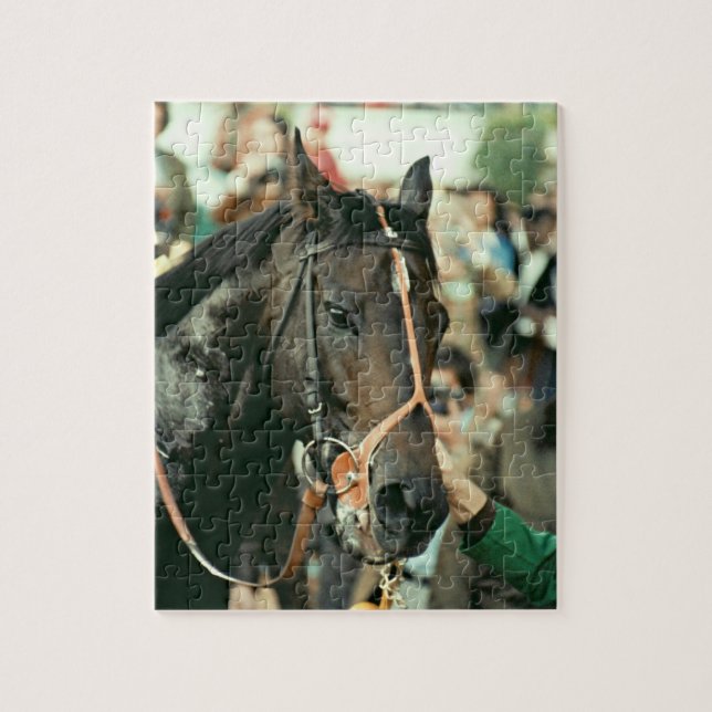 Seattle Slew Vollblut 1978 (Vertikal)