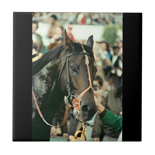 Seattle Slew Vollblut 1978 Fliese (Vorderseite)