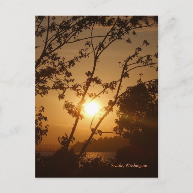 Seattle Sunset Postkarte (Vorderseite)