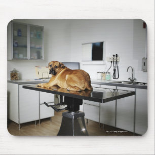 Seattle, Washington, USA 2 Mousepad