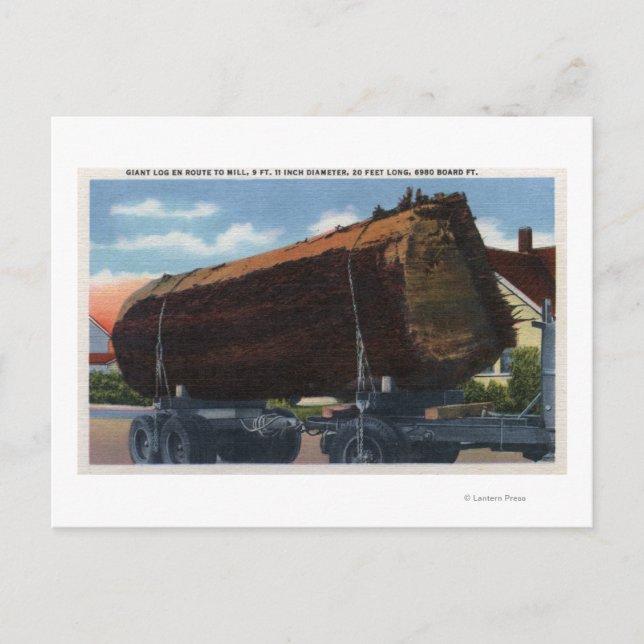 Seattle, WashingtonGiant Log auf dem Weg nach Mill Postkarte (Vorderseite)