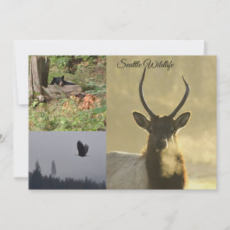Seattle Wildlife Einladung