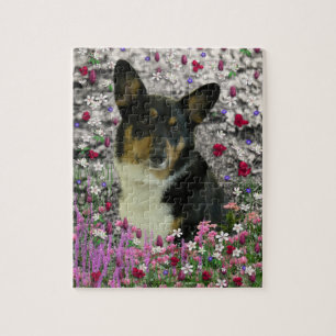 Sebastian der WaliserCorgi in den Blumen