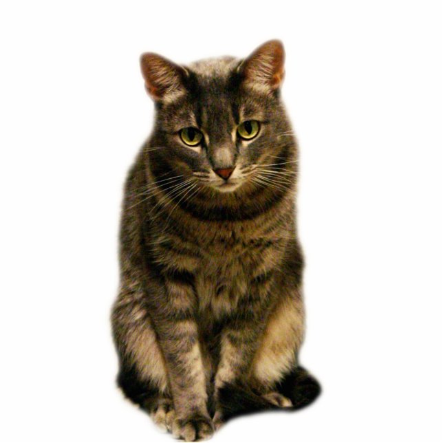 Sebastian Fotoskulptur Magnet (Vorne)