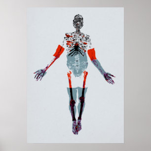 Sebastian Poster