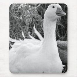 Sebastopol Goose Mousepad