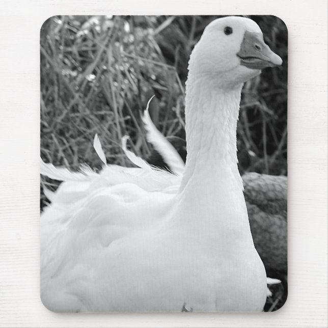 Sebastopol Goose Mousepad (Vorne)