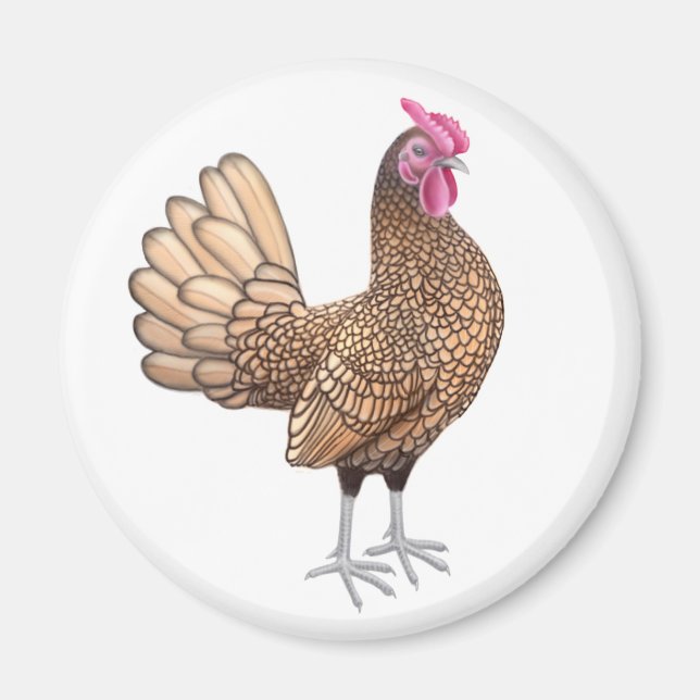 Sebright Bantam Rooster Round Magnet (Vorne)