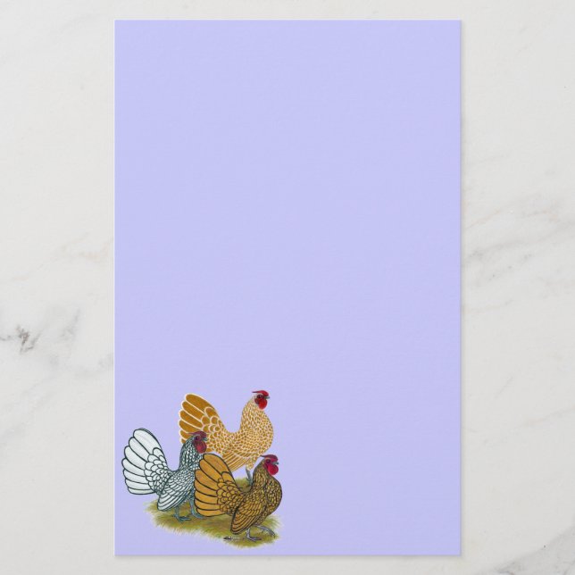 Sebright Rooster-Sortiment Briefpapier (Vorderseite)