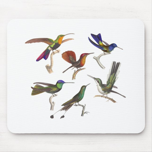 Sechs bunte Kolibris Mousepad (Vorne)