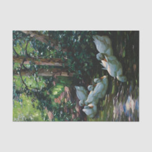 Sechs Enten in Wasser von Alexander Koester Seidenpapier