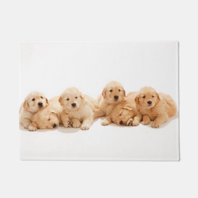 Sechs Golden Retriever Welpen Fußmatte (Vorderseite)