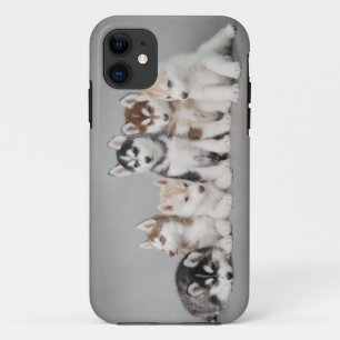 Sechs Huskies Case-Mate iPhone Hülle