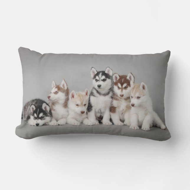Sechs Huskies Lendenkissen (Vorderseite)