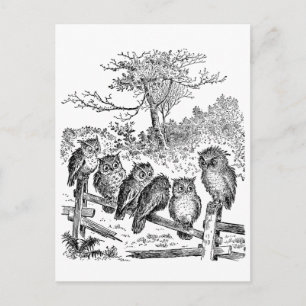Sechs kleine Eulen sitzen auf einem kaputten Zaun Postkarte