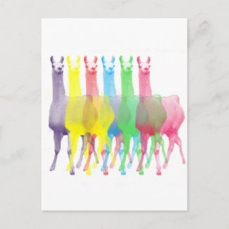 sechs Lamas in sechs Lamafarben Postkarte