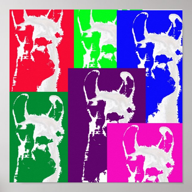 Sechs mehrfarbige Llamas. Poster (Vorne)