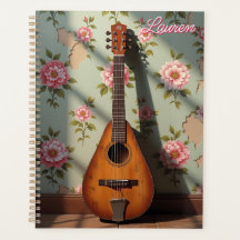 Sechs-saitiges Dulcimer Vintage Seltenes Instrumen