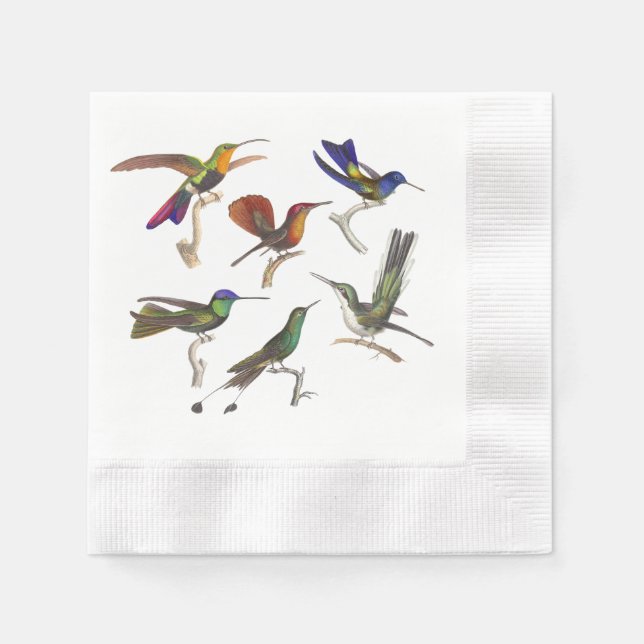 Sechs schöne Hummingvögel Serviette (Vorderseite)