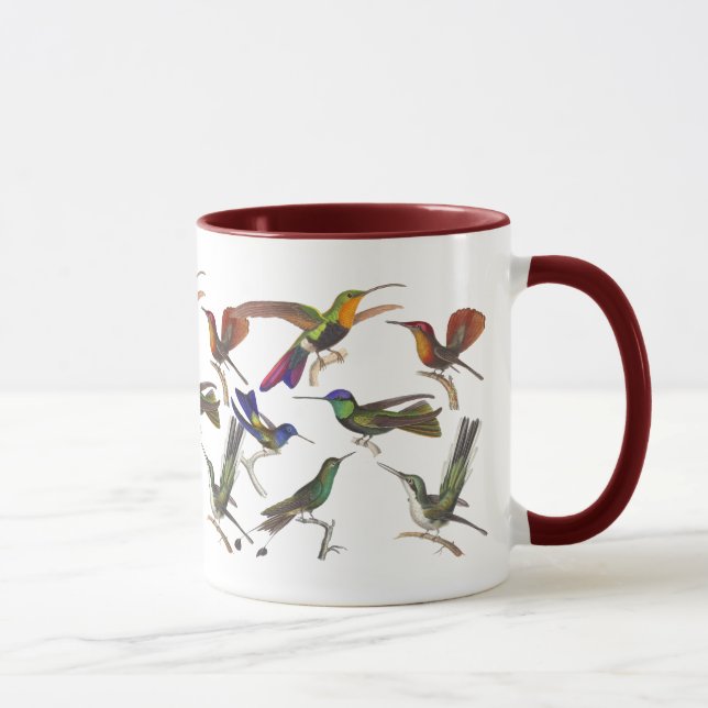 Sechs unterschiedliche Lektion Kolibri-Rene Tasse (Rechts)