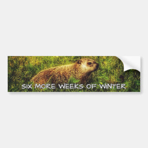 Sechs weitere Winterwochen Autoaufkleber