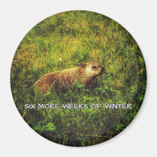 Sechs weitere Wochen Wintermagnet Magnet