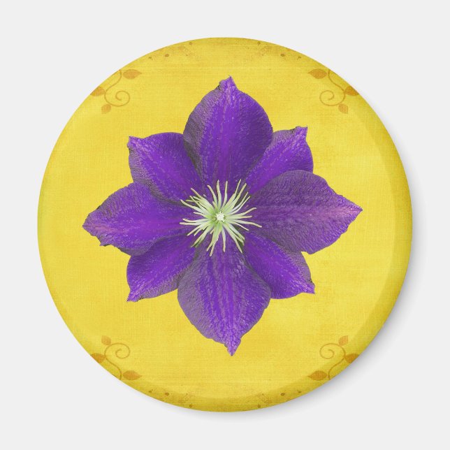 Sechstes Chakra-Geschenk - Drittes Auge Magnet (Vorne)