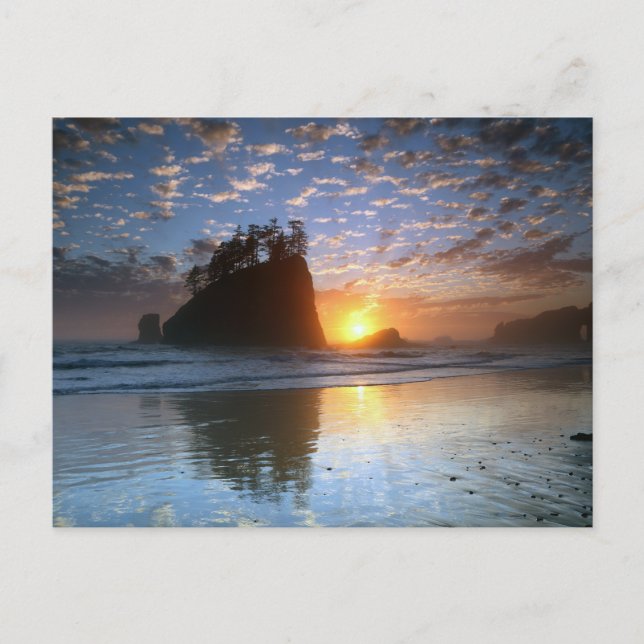 Second Beach, La Push, Sonnenuntergang, Postkarte (Vorderseite)