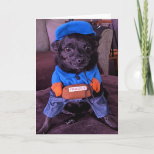 Secourez les chiens standard, carte de voeux pliée