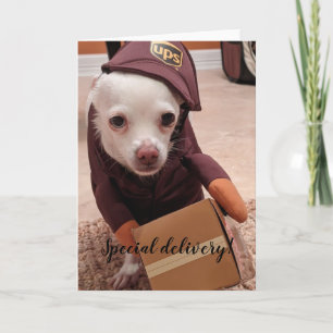 Secourez les chiens standard, carte de voeux pliée