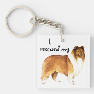 Secourir Collie