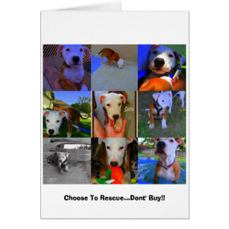 Secourir des cartes...