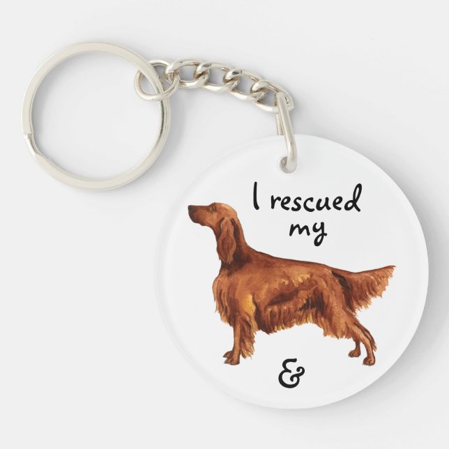 Secourir Irish Setter (Devant)