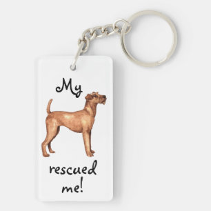 Secourir Irish Terrier