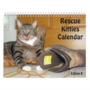 Secourir le calendrier Cat - Édition 8