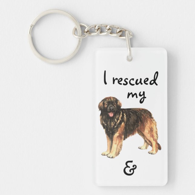Secourir Leonberger (Devant)