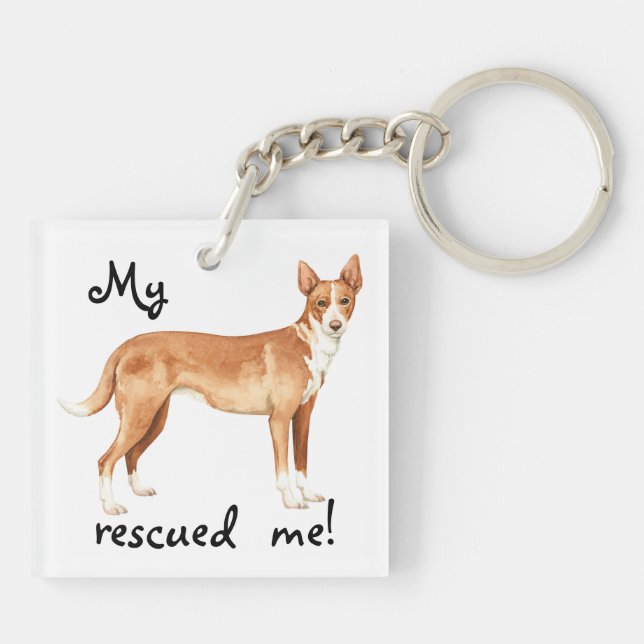 Secourir Podengo portugais (Dos)