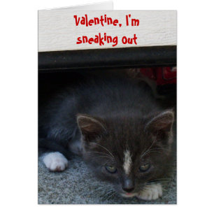 SECRET ADMIRER VALENTINE KITTY card