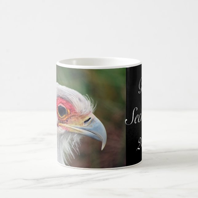 Secretary Bird of South Africa Foto Kaffeetasse (Mittel)