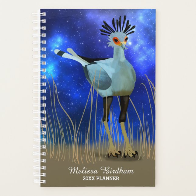 Secretary Bird Planer (Vorderseite)