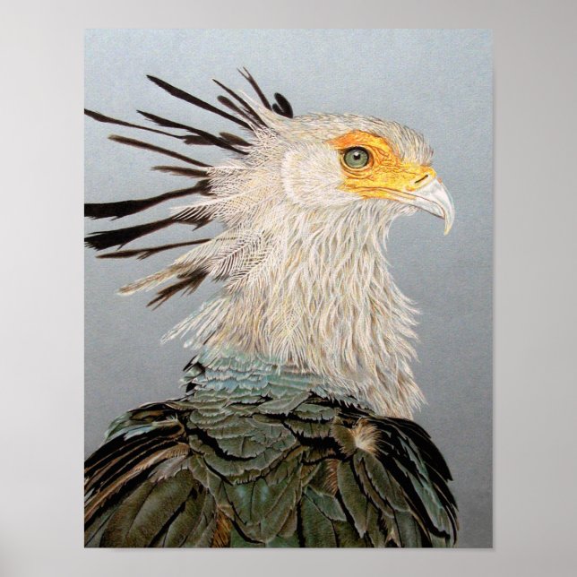 Secretary Bird Poster (Vorne)
