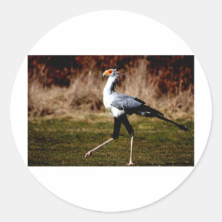 Secretary Bird Runder Aufkleber