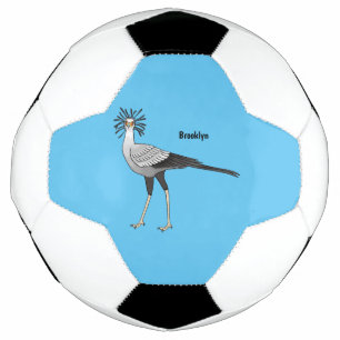 Secretary Cartoon Illustration Fußball