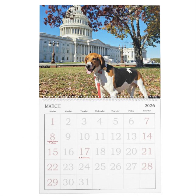 Secteur de chien calendrier de 18 mois (Mar 2026)