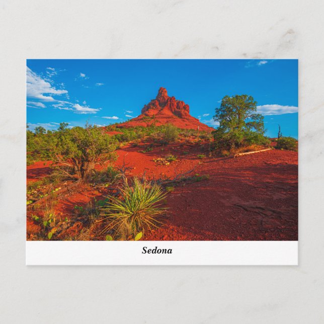Sedona AZ Postcard Postkarte (Vorderseite)