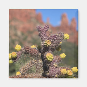 Sedona Cactus Wüstenmagnet Magnet