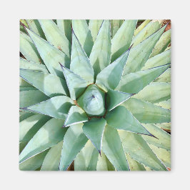 Sedona Green Agave Plante Magnet
